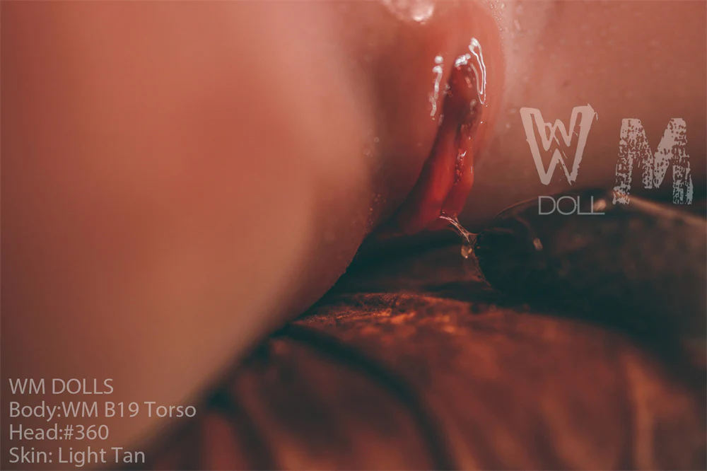 Thumbnail 27
